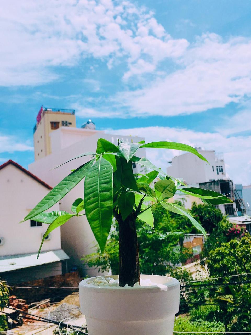 Huha Home - ดานัง ภายนอก รูปภาพ